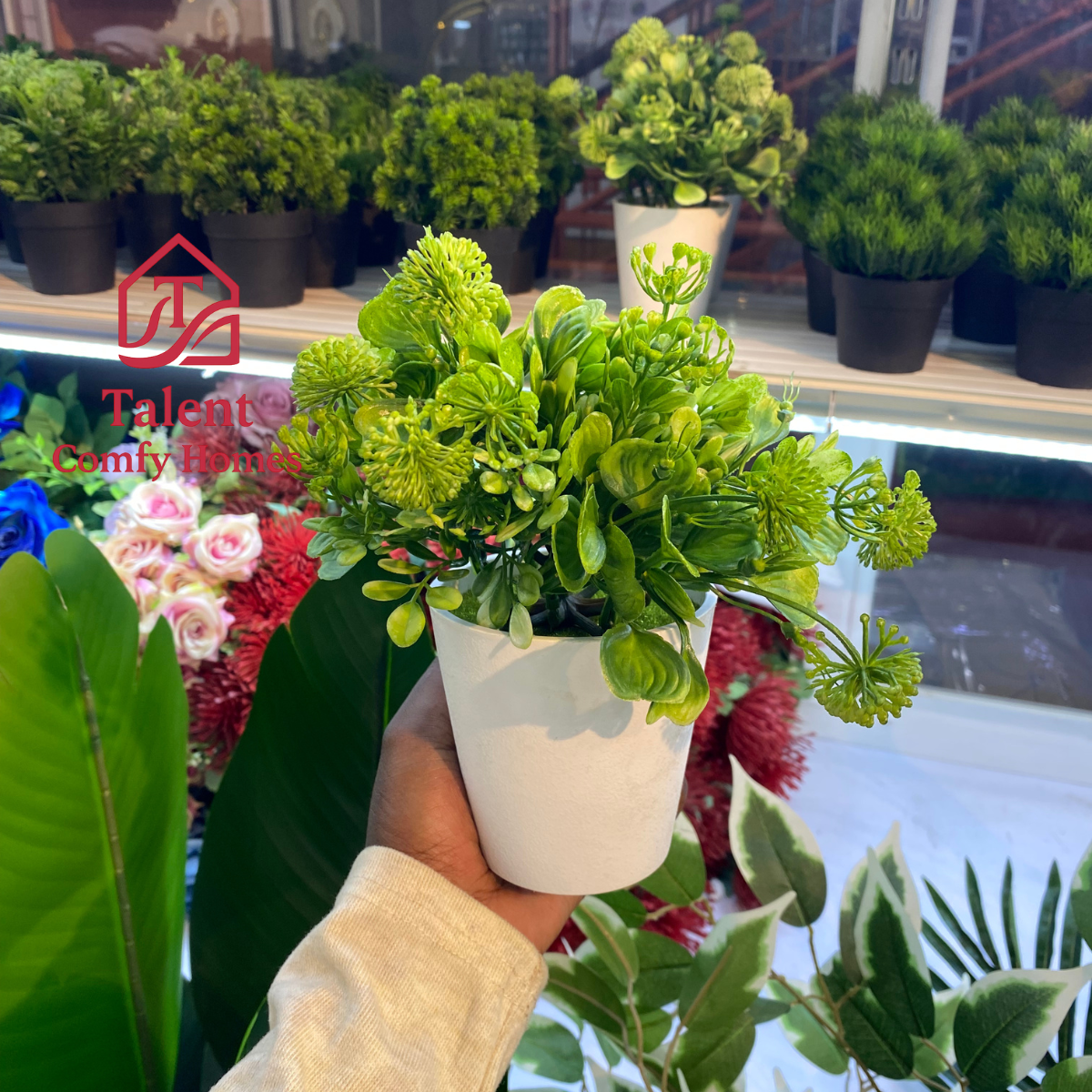 Talent selecting artificial potted plant at Nakaseero shop.