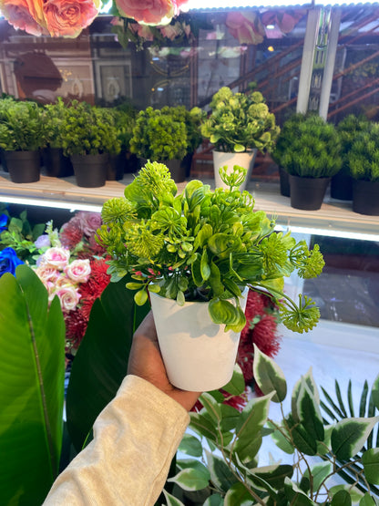 Artificial Potted Flowers – Lifelike Home Decor displayed in a cozy modern African home interior.